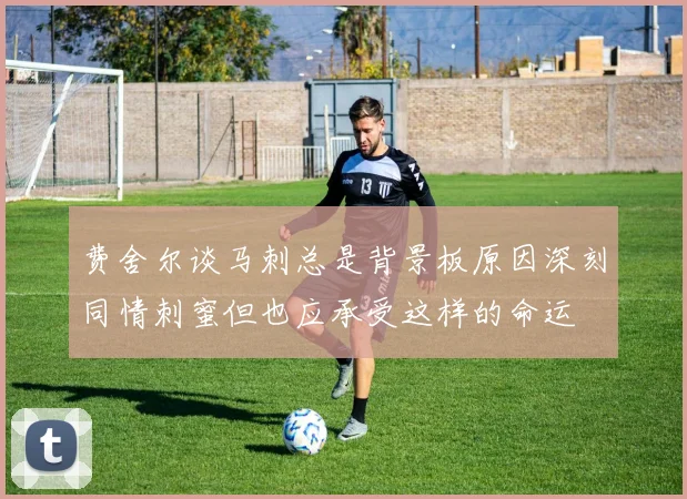 费舍尔谈马刺总是背景板原因深刻同情刺蜜但也应承受这样的命运