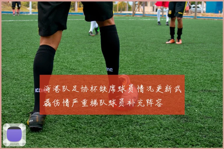 海港队足协杯缺席球员情况更新武磊伤情严重梯队球员补充阵容